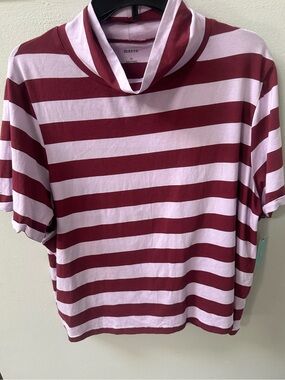 Maeve Anthropologie Plus Striped Cowl Neck Top 2X NWT Pink Burgundy